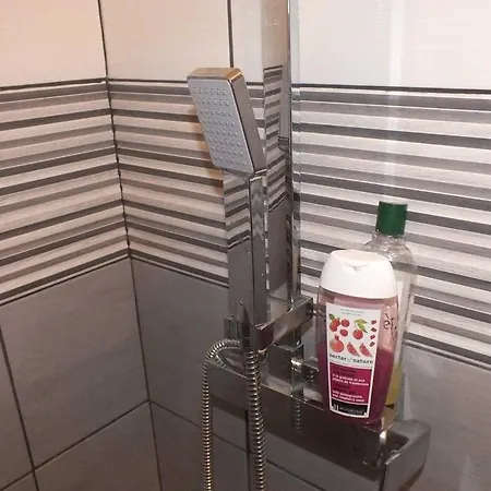 Le Grey-jardin Des Plantes-centre Des Congres * Анже